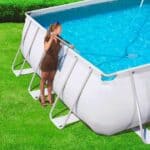 cleanner-for-pool (1)